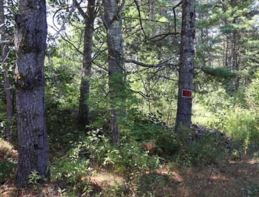 Screenshot 2025-12-03 223720