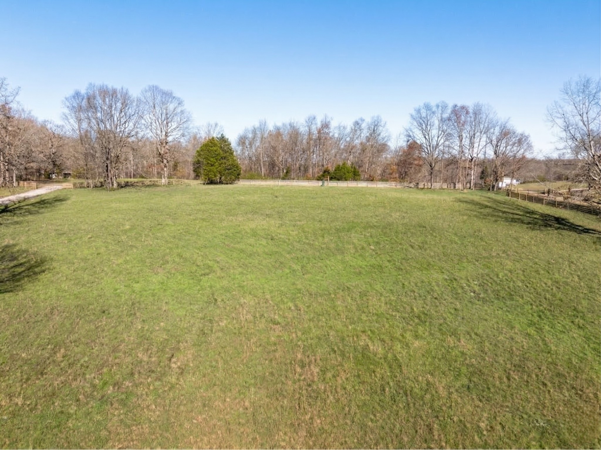 a view of a field with large trees