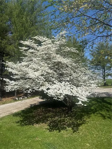 $485,000 | 336 Southeast Zack Wheat Drive, Polo, MO 64671