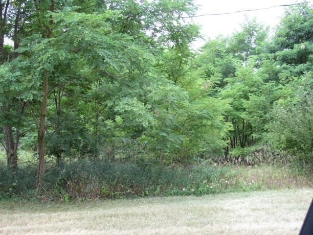 V/l Oakpoint Road Jackson, MI 49201 - Photo 10 of 11