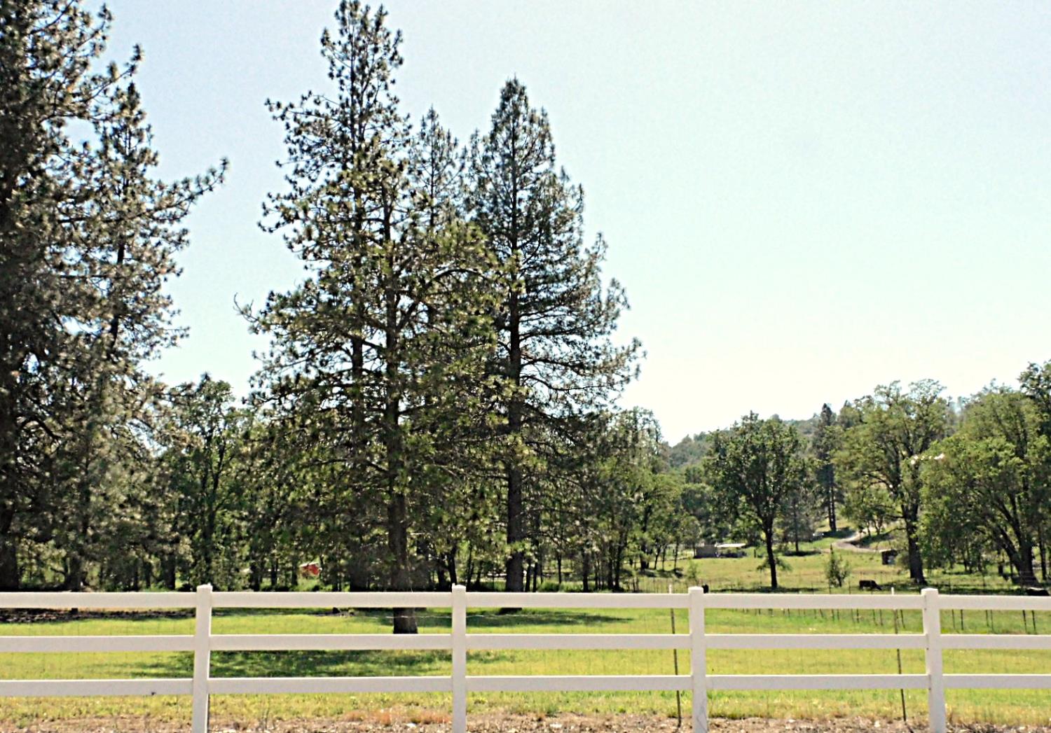 4360 Pleasant Valley Road Placerville, CA 95667 - Photo 66 of 71