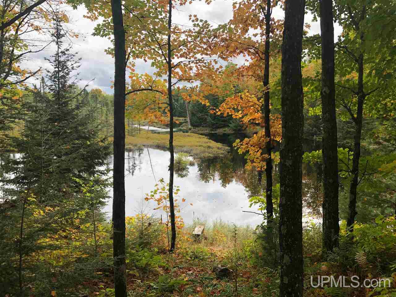 5.9-ac Off Chaney Coves Road, Unit 5 Bessemer, MI 49911 - Photo 5 of 12