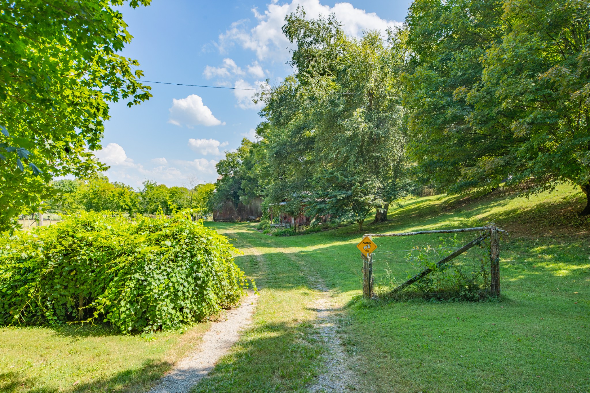 6861 Arno-Allisona Road College Grove, TN 37046 - Photo 38 of 81 Gallery Image 38