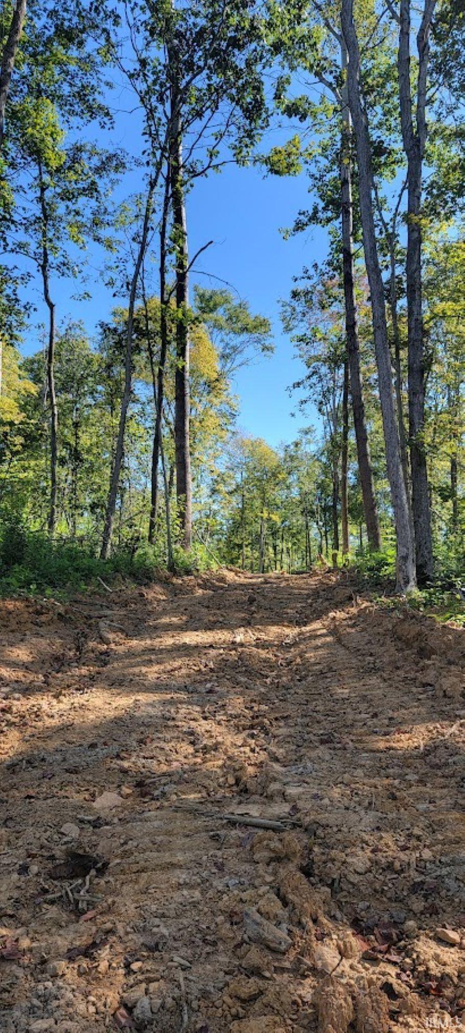 Lot 1 Emmons Ridge Road French Lick, IN 47432 - Photo 8 of 19
