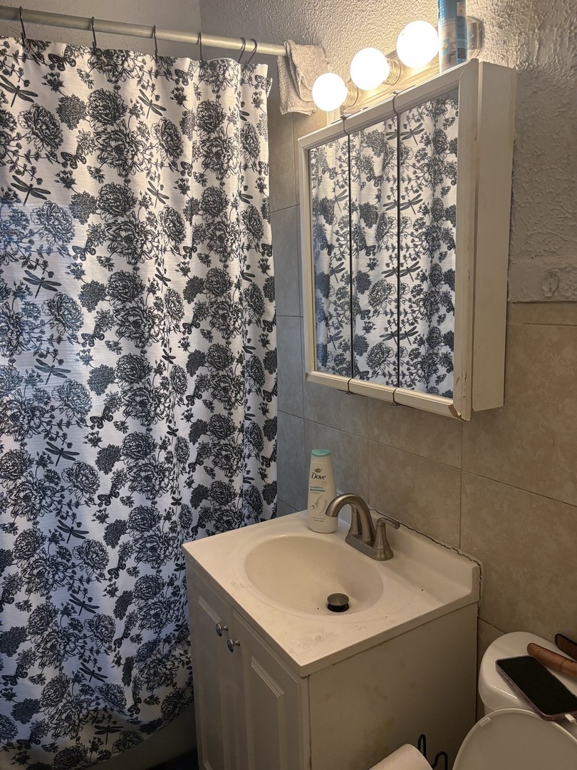 1711 North Austin Avenue Chicago, IL 60639 - Photo 11 of 13 a bathroom with a sink and a mirror