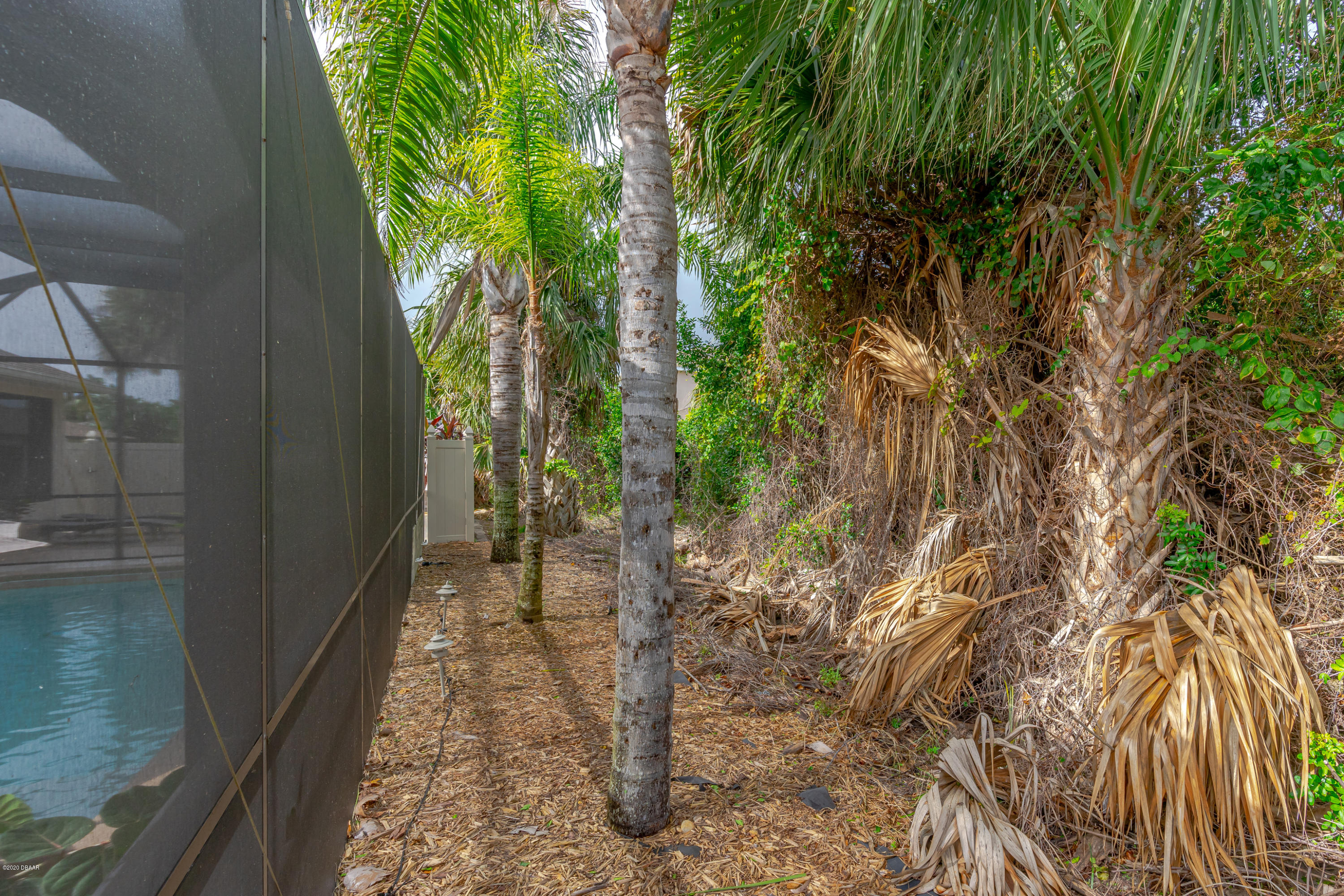 23 Tarpon Avenue Ormond Beach, FL 32176 - Photo 14 of 55 23 Tarpon-14