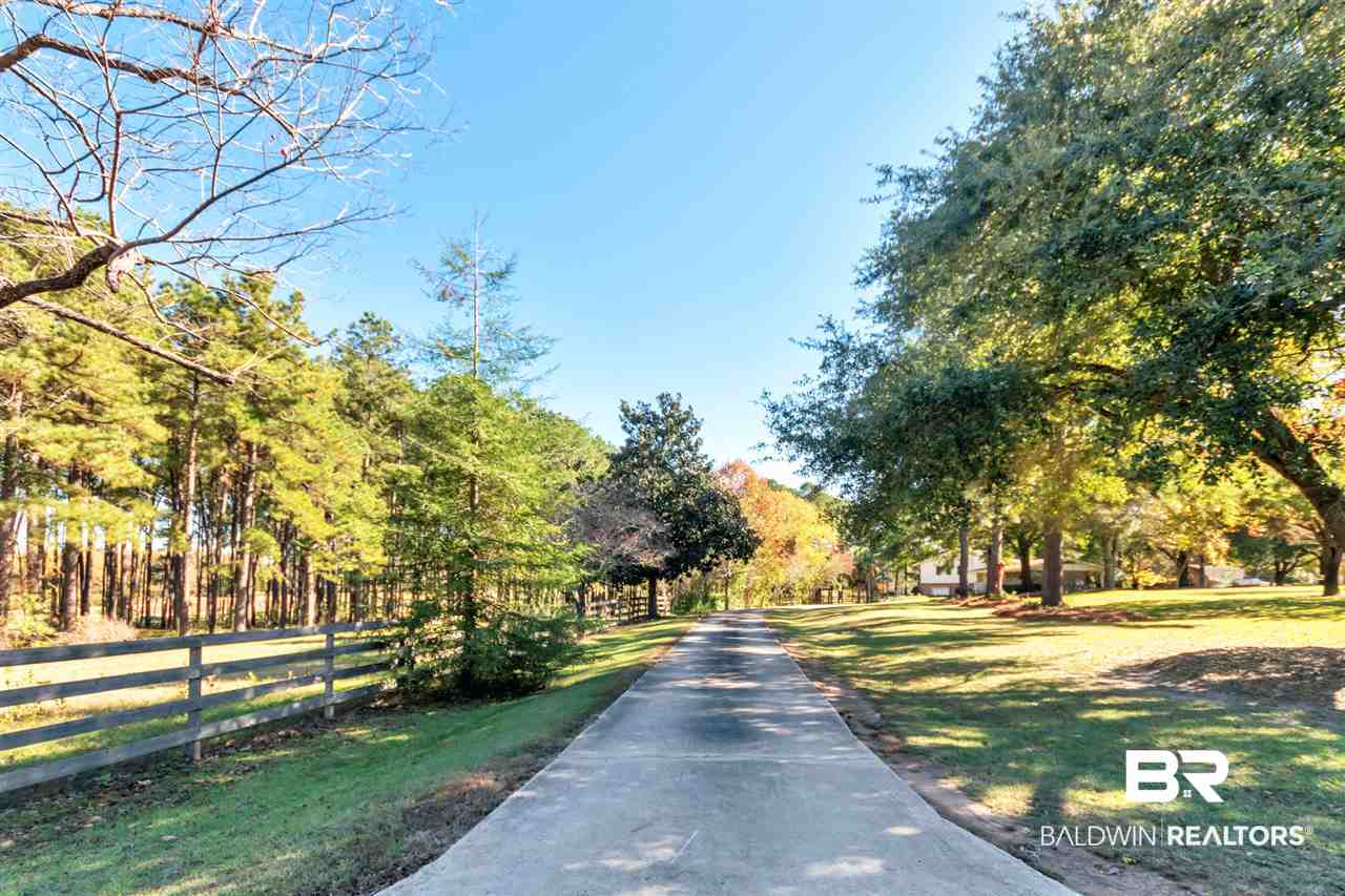 133 Allen Walker Road Grove Hill, AL 36451 - Photo 31 of 46 Drive