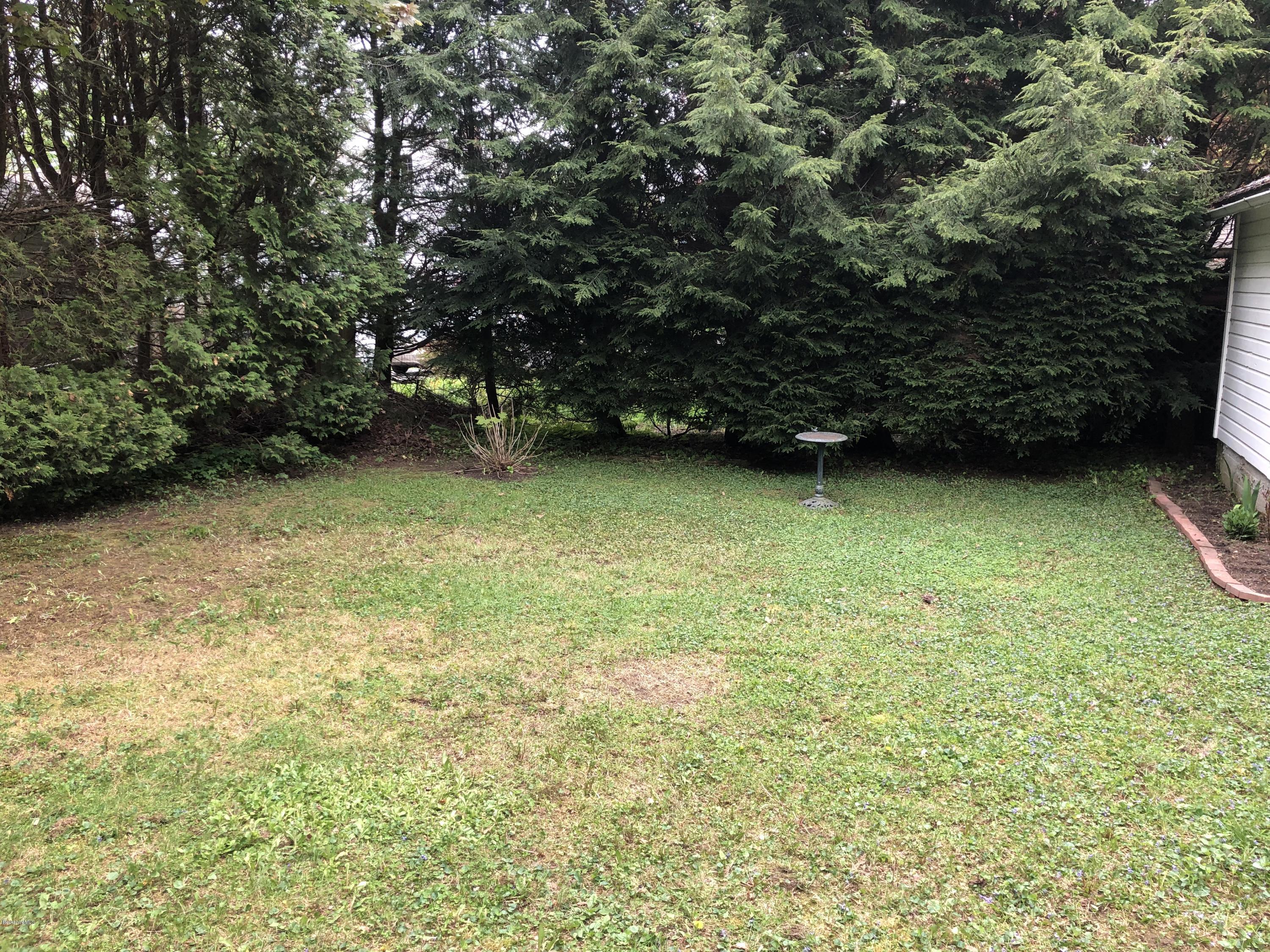 166 Holmes Road Pittsfield, MA 01201 - Photo 3 of 42 back yard