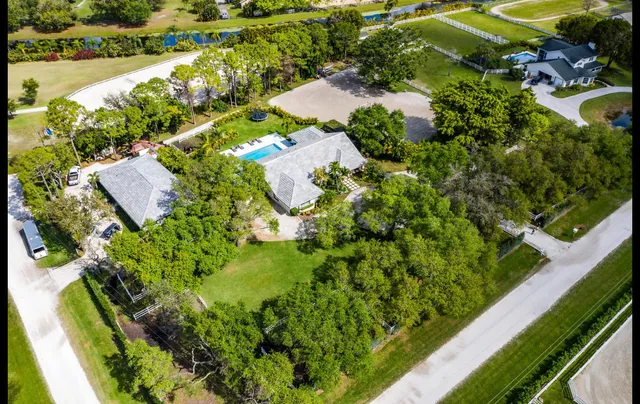 a view of a garden with plants