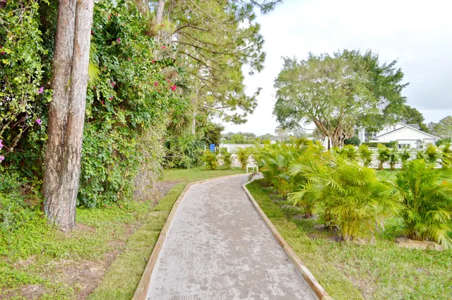 a view of a big yard with a large tree and plants