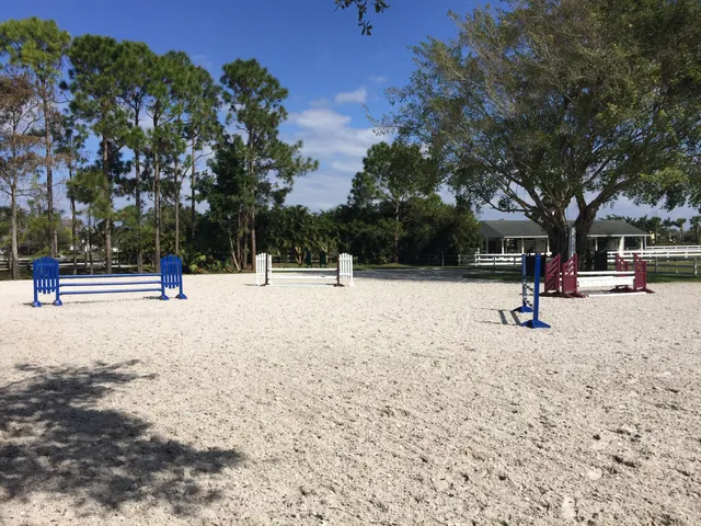 a view of park with benches