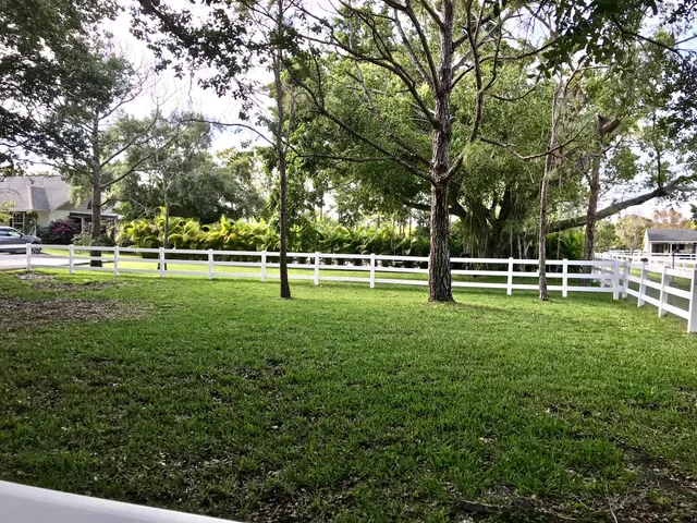 a view of a large trees with a big yard and large trees