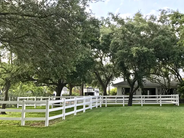 a view of backyard with green space