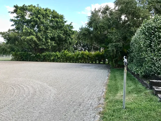 a view of backyard with large trees