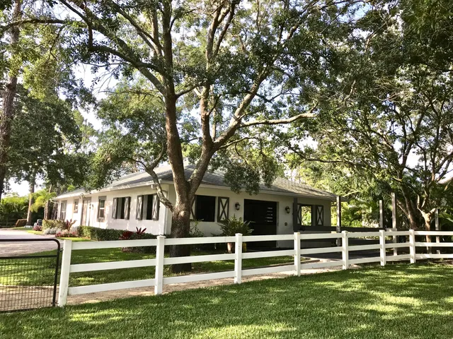 a view of a trees with a yard