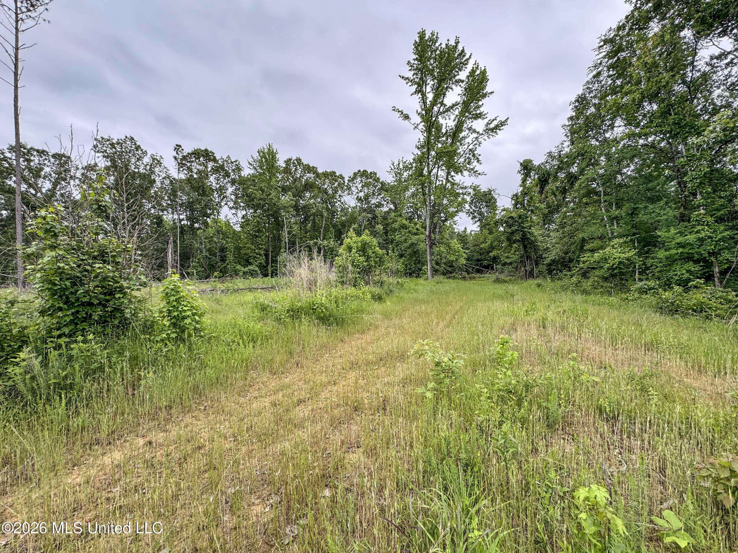 Wayne Massie Road Como, MS 38619 - Photo 160 of 184 5cdtbs106