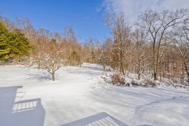 a view of a yard with snow on the road
