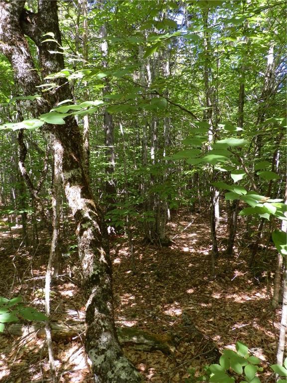 Lot 63 Eleanor Mae Road Deblois, ME 04622 - Photo 8 of 23 Photo
