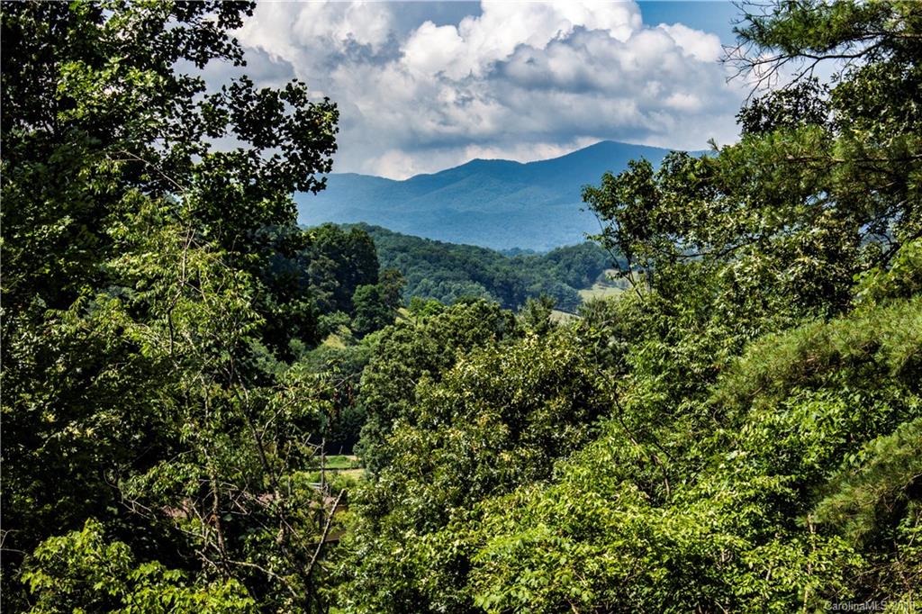 0 Hilltop Road Waynesville, NC 28786 - Photo 2 of 14