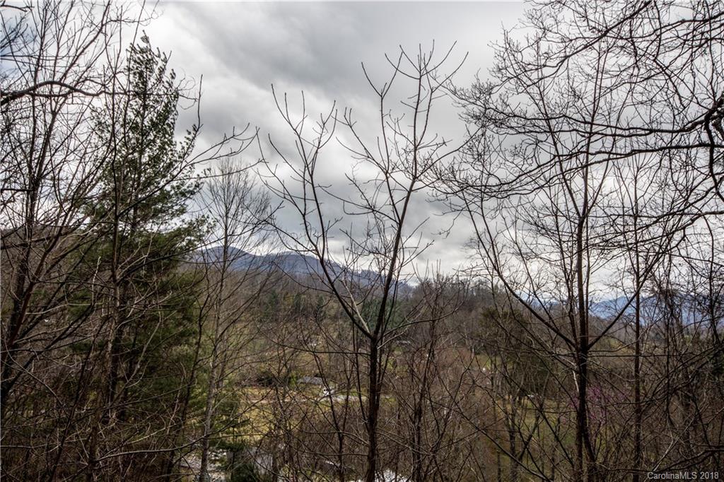 0 Hilltop Road Waynesville, NC 28786 - Photo 11 of 14