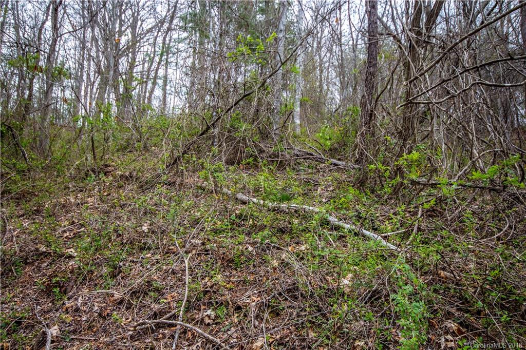 0 Hilltop Road Waynesville, NC 28786 - Photo 12 of 14