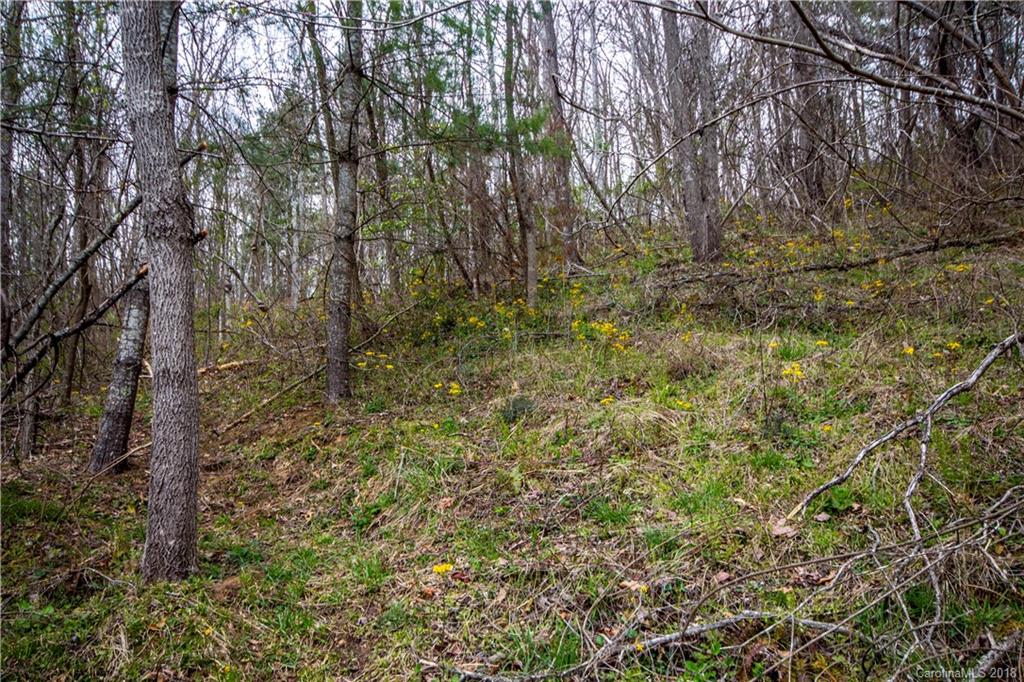 0 Hilltop Road Waynesville, NC 28786 - Photo 13 of 14