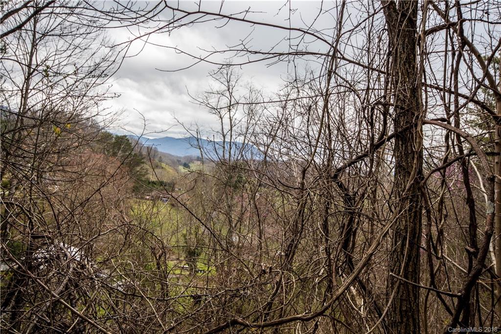 0 Hilltop Road Waynesville, NC 28786 - Photo 14 of 14