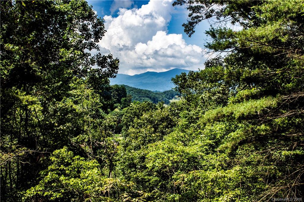 0 Hilltop Road Waynesville, NC 28786 - Photo 3 of 14