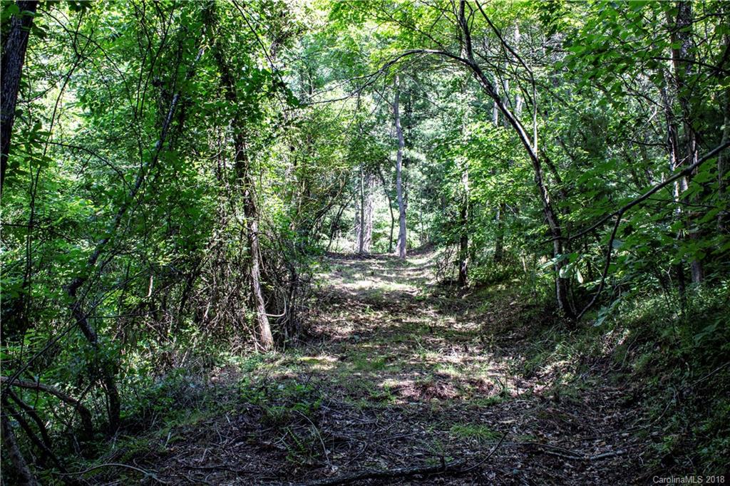 0 Hilltop Road Waynesville, NC 28786 - Photo 5 of 14