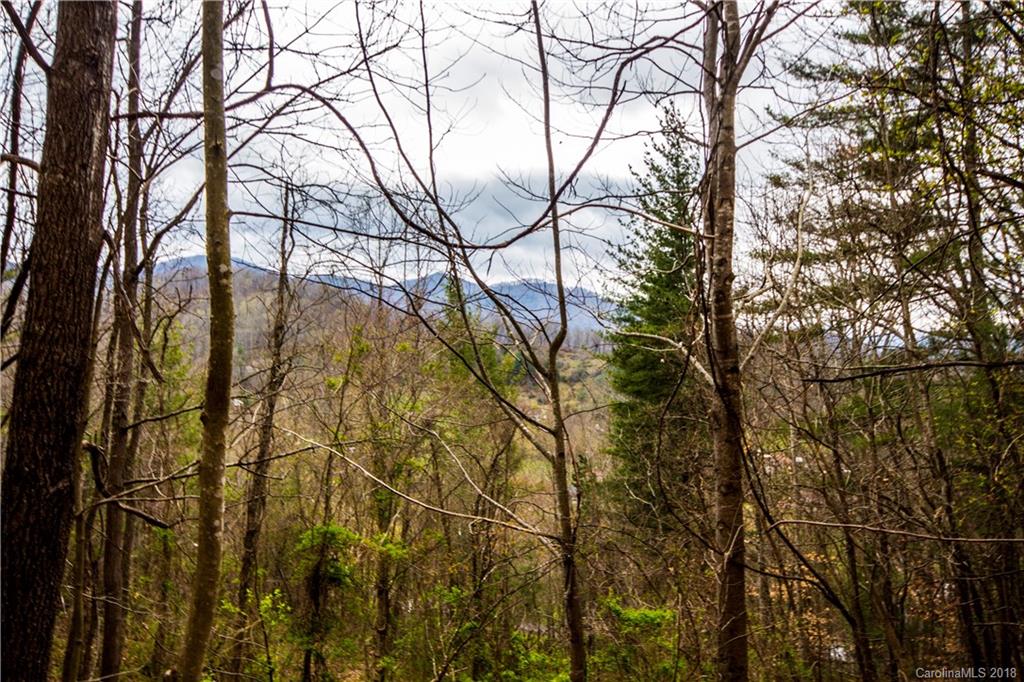 0 Hilltop Road Waynesville, NC 28786 - Photo 8 of 14