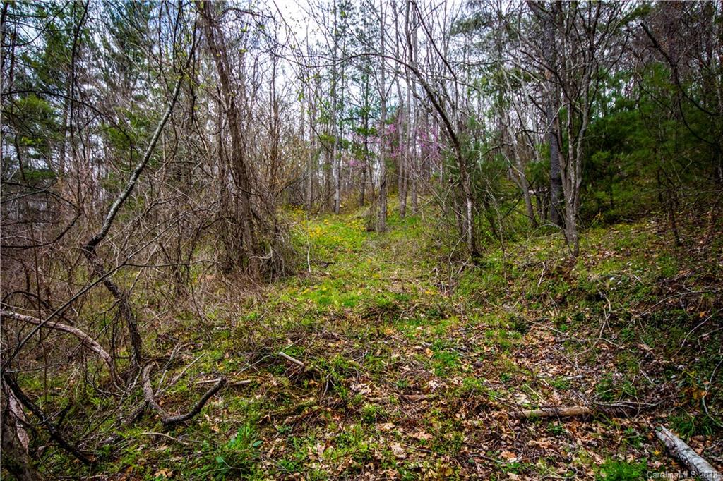 0 Hilltop Road Waynesville, NC 28786 - Photo 9 of 14