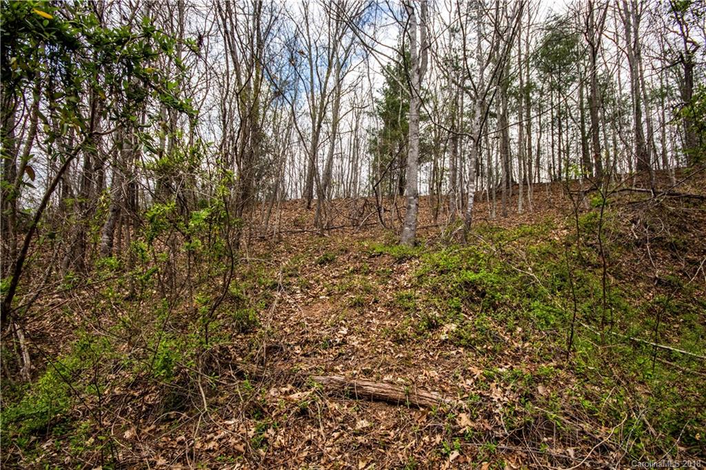 0 Hilltop Road Waynesville, NC 28786 - Photo 10 of 14