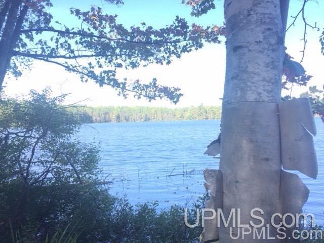 108 Blueberry Corner Road, Unit 3 Crystal Falls, MI 49920 - Photo 6 of 20 Gallery Image 6