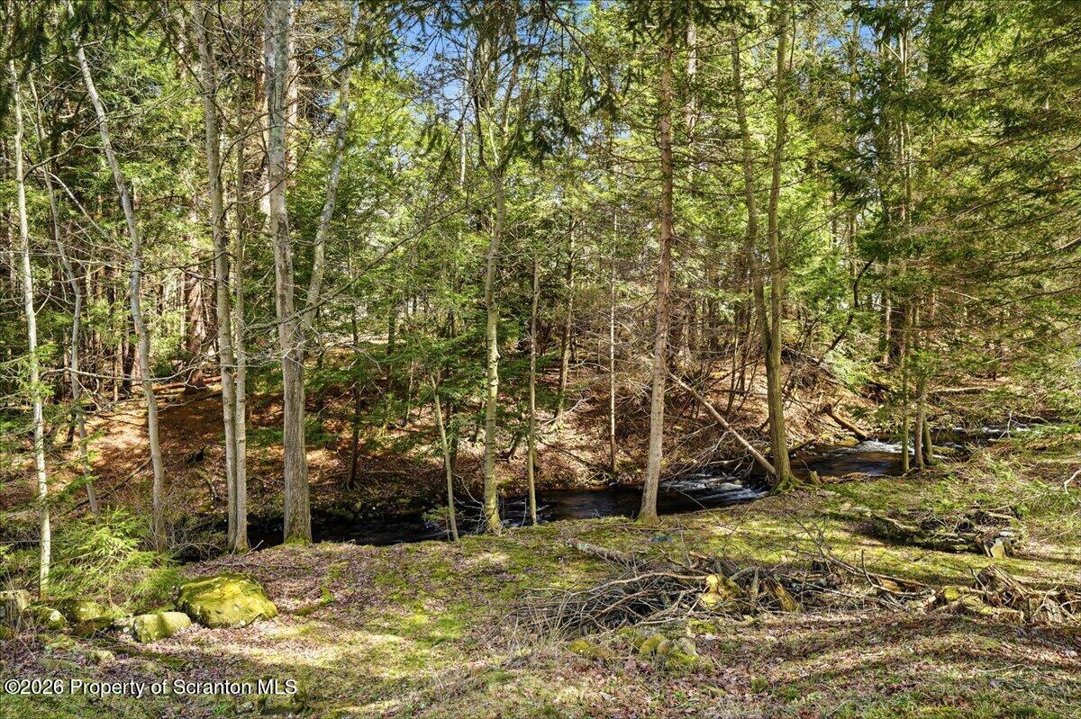59 Tobyhanna Road Gouldsboro, PA 18424 - Photo 53 of 74 53-59_Tobyhanna_Rd_045