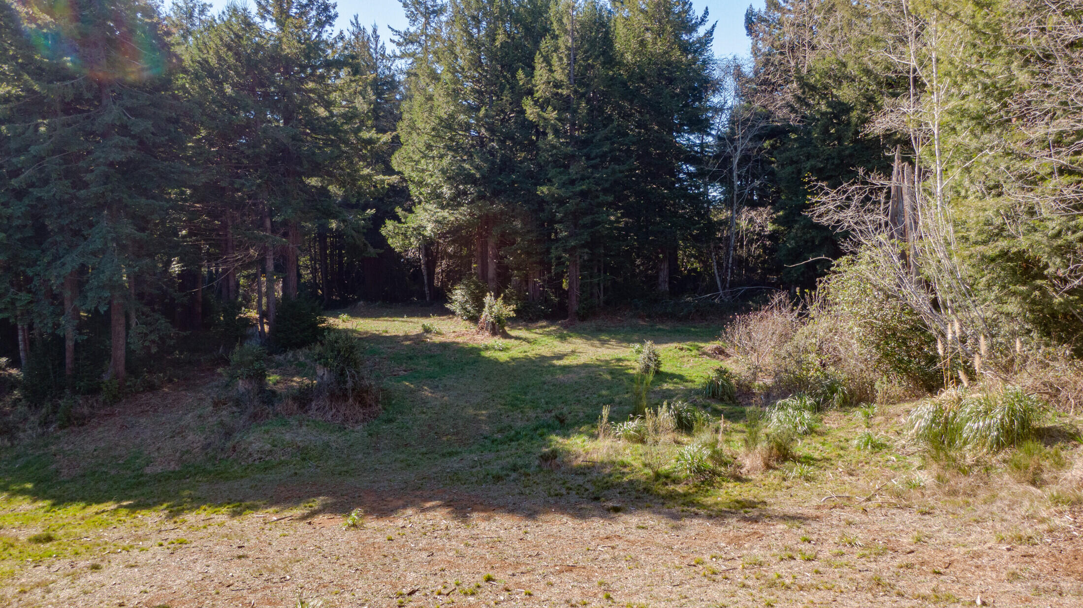 1180 Fox Farm Road Trinidad, CA 95570 - Photo 33 of 36