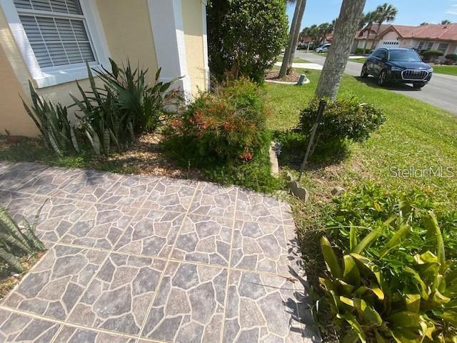 30 San Rafael Court Palm Coast, FL 32137 - Photo 6 of 32 a view of backyard with plants and trees