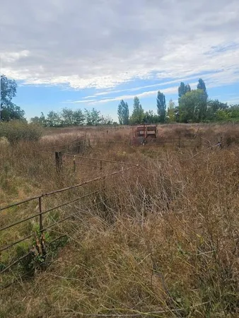 a view of a lake from a yard