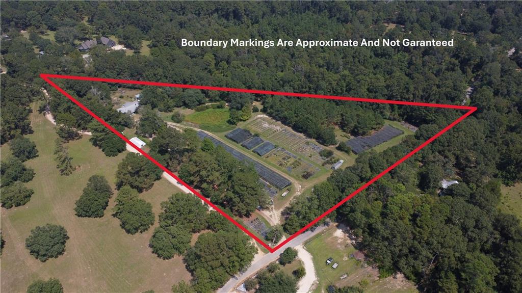 8.8-acres Josephs Road Folsom, LA 70437 - Photo 3 of 7