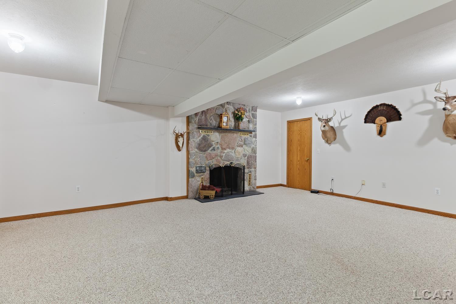 2010 South Kane Road Stockbridge, MI 49285 - Photo 38 of 80