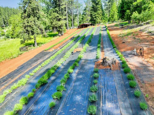 $1,099,000 | 14833 Quail Pointe Lane, Grass Valley, CA 95945