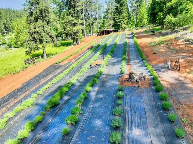 $1,099,000 | 14833 Quail Pointe Lane, Grass Valley, CA 95945