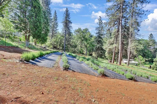 $1,099,000 | 14833 Quail Pointe Lane, Grass Valley, CA 95945