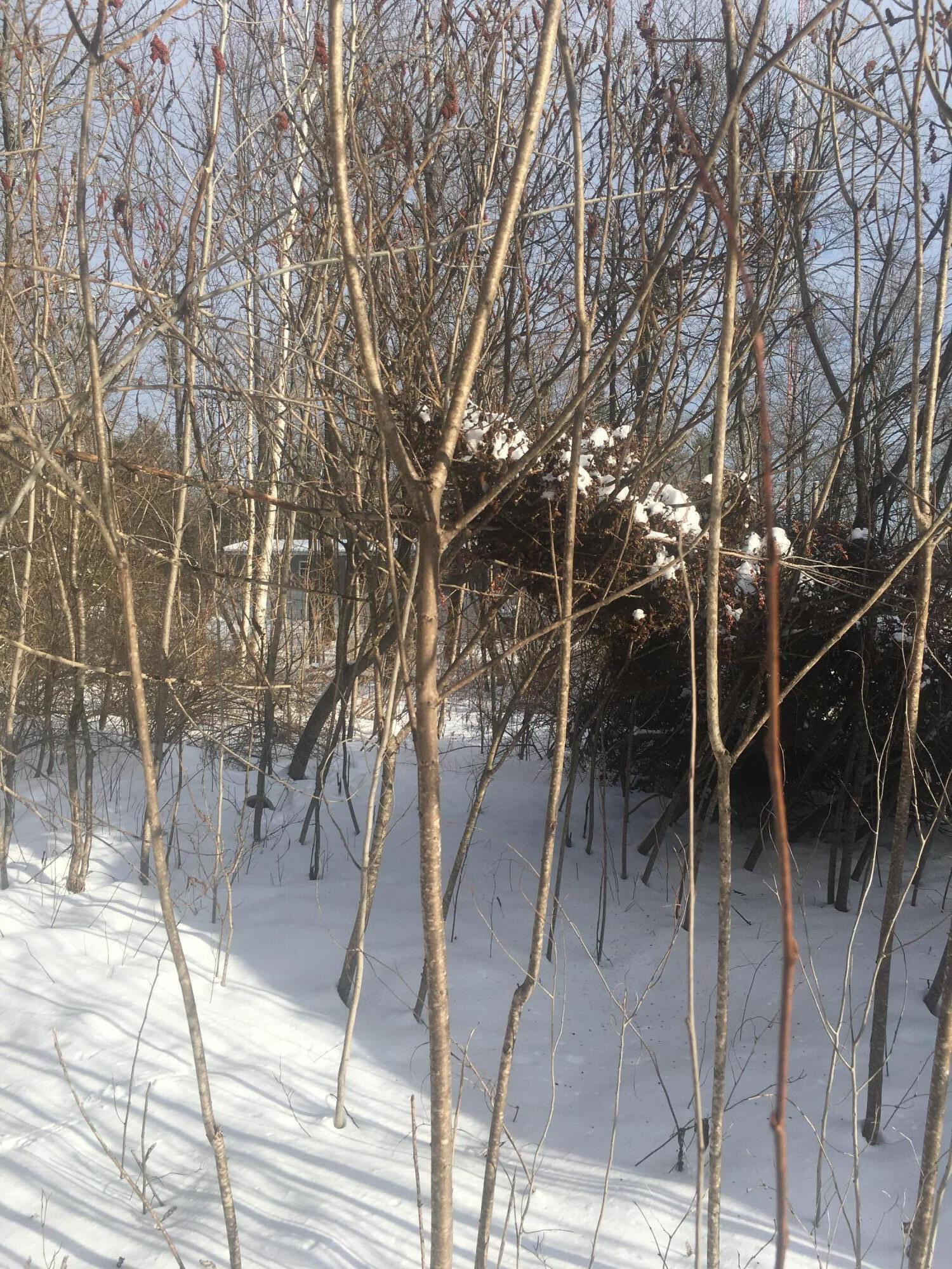 60 Libby Hill Road Gardiner, ME 04345 - Photo 3 of 3 IMG_2807