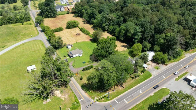 a view of a yard with plants