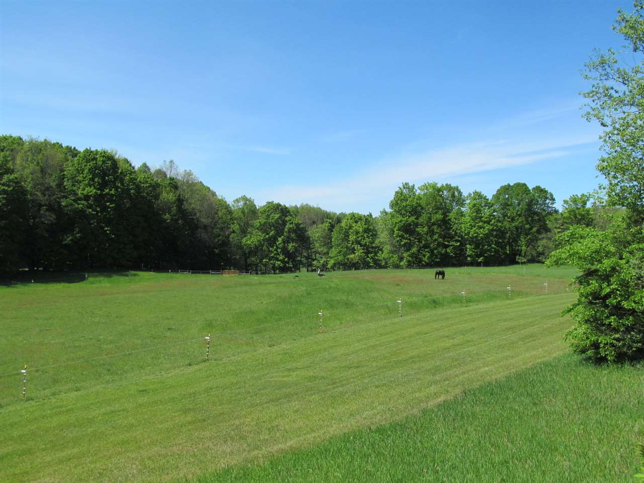 15526 20 Mile Road Tustin, MI 49688 - Photo 19 of 24 1862281-18.JPG