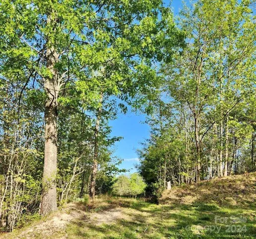 $139,000 | 391 Red Fox Trail, Unit 16, Marshall, NC 28753