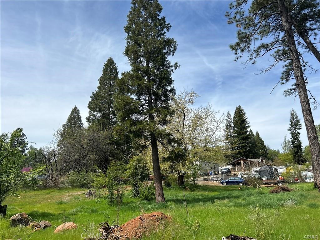 1616 Walnut Lane Paradise, CA 95969 - Photo 1 of 6 a view of a park with large trees