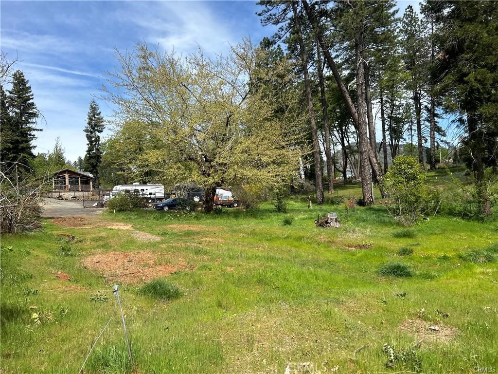 1616 Walnut Lane Paradise, CA 95969 - Photo 3 of 6 a view of a yard with a trees