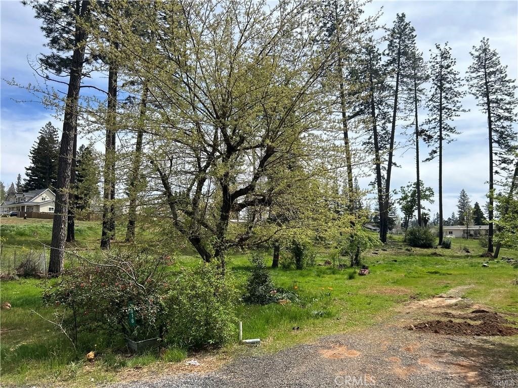 1616 Walnut Lane Paradise, CA 95969 - Photo 5 of 6 a view of a garden with trees