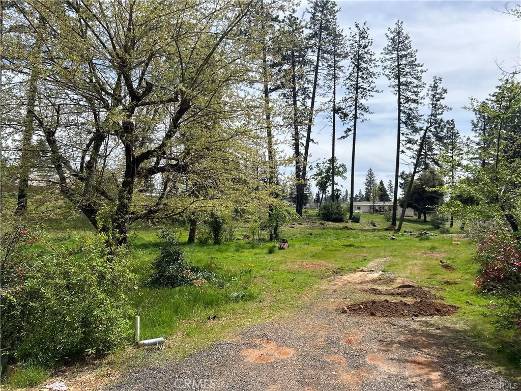 1616 Walnut Lane Paradise, CA 95969 - Photo 6 of 6 a big yard with lots of green space and fountain